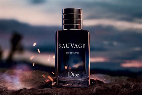 sauvage dior parfum preisvergleich|dior sauvage best price.